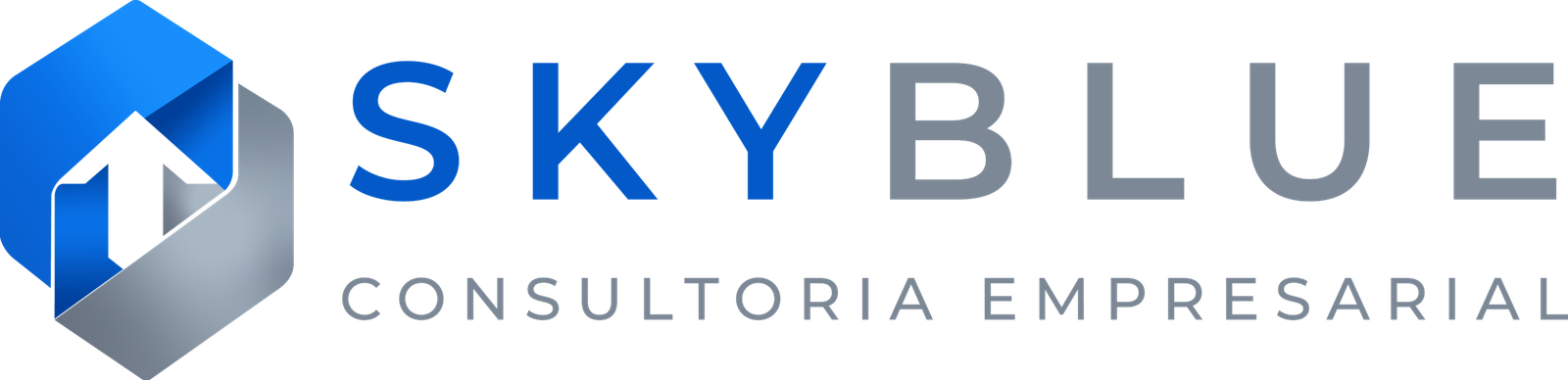 SkyBlue Consultoria Empresarial